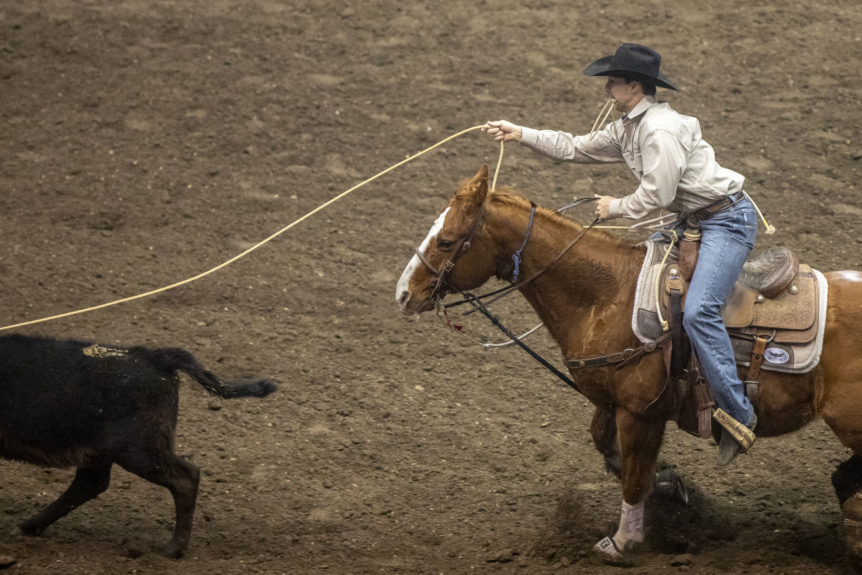 Rodeo Rapid City